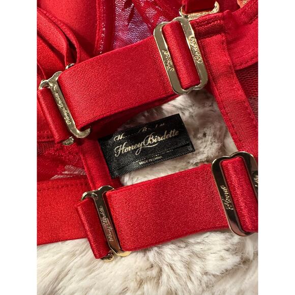 RARE🔥 Honey Birdette LUCILLE❤️ Red Lace Push Up Bra 34DD - Picture 4 of 5